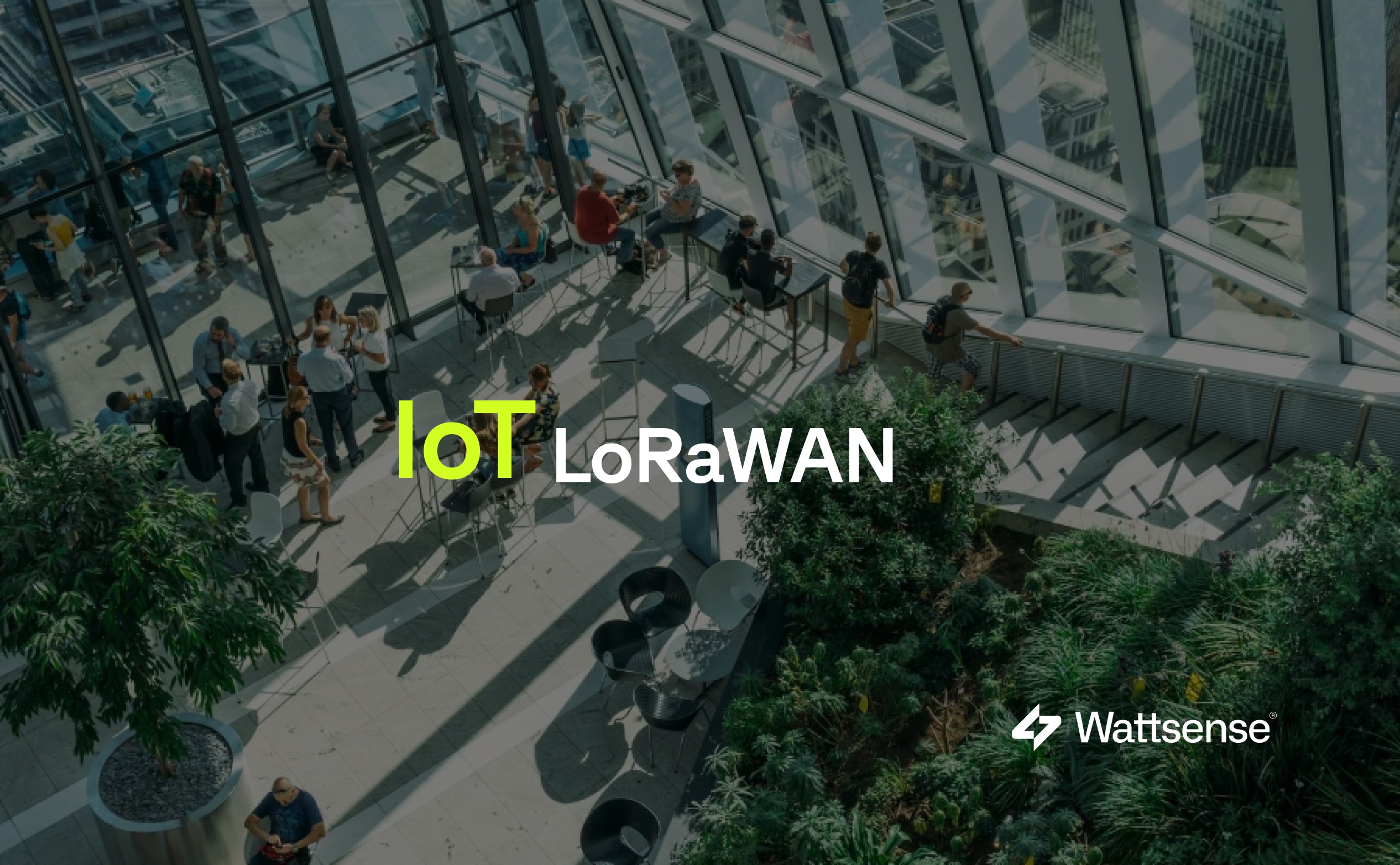 Connectivité IoT LoRaWAN : Simplicité et Performance Énergétique