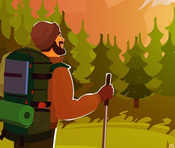 developpeur-ecosystème-inexploré