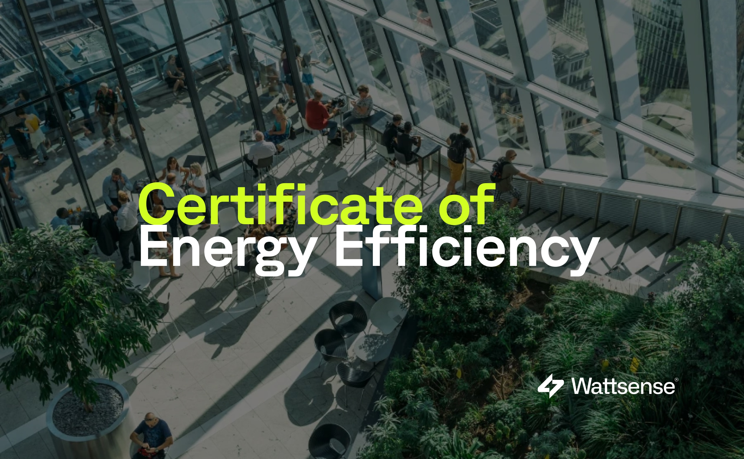 Certificate of Energy Efficiency title card